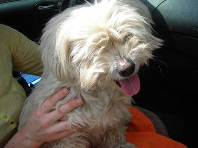 Ένα σπίτι για την Πέννυ