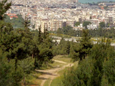 Εργασίες στο περιαστικό δάσος Θεσσαλονίκης