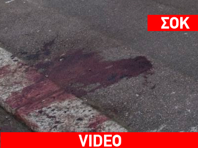 Pitbull επιτέθηκε σε αστυνομικούς