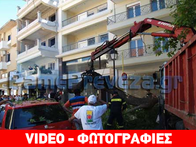 Πρέβεζα: Πλάτανος έπεσε σε διερχόμενα αυτοκίνητα