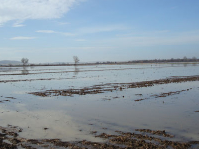 Έβρος: Λήξη συναγερμού για τις πλημμύρες