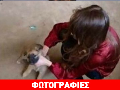 Ρωσία: Μοντέλο κακοποιεί κουτάβι στα πλαίσια.. φωτογράφισης