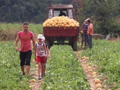 Εκπνέει η προθεσμία για την εξισωτική αποζημίωση των αγροτών