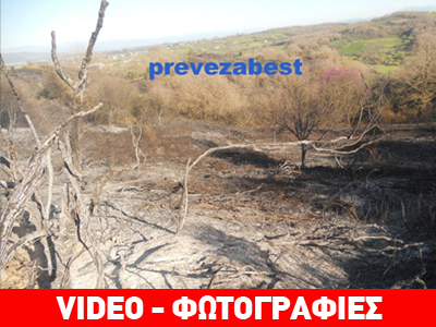 Πυρκαγιά κατέστρεψε δασική έκταση στην Πρέβεζα