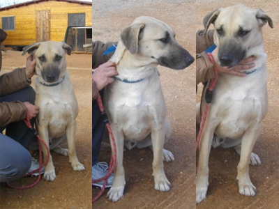 Χαρίζεται ο Ψυχούλης