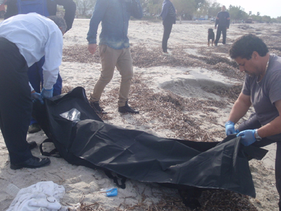 Βουλιαγμένη: Εντοπίστηκε νεκρός ένας 55χρονος