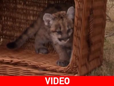 Είχαν την ευκαιρία να γνωρίσουν τη… Μισούλα