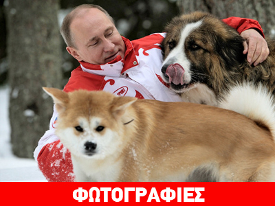 Ο Πούτιν και τα σκυλιά του Ο Πούτιν και τα σκυλιά του