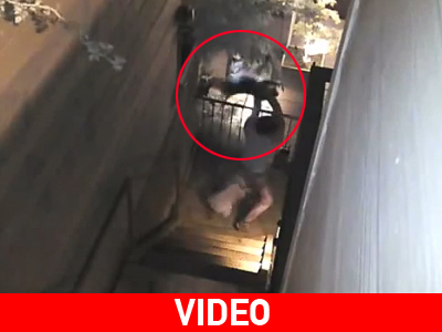 Γλύτωσε από του… ρακούν τα δόντια!