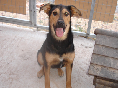 Χαρίζεται η Ρένα