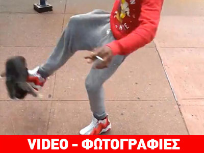 Κλώτσησε αβοήθητο γατάκι, ανέβασε το βίντεο στο Facebook και συνελήφθη