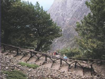 Δασοφύλακας βρέθηκε νεκρός στο φαράγγι της Σαμαριάς