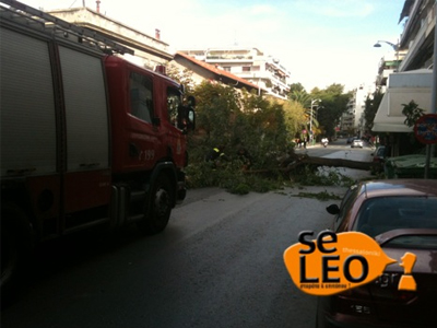 Πτώσεις δέντρων λόγω ισχυρών ανέμων στη Θεσσαλονίκη