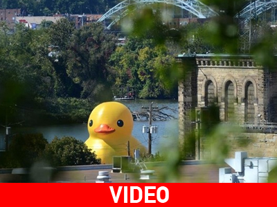 Σε αμερικανικά ύδατα το φουσκωτό παπί!‏