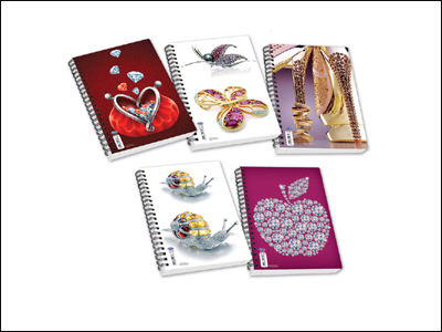 Καινοτόμες εφαρμογές από την SKAG