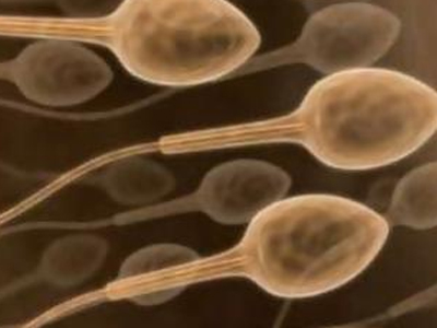 Τα σπερματοζωάρια έχουν την εποχή τους!