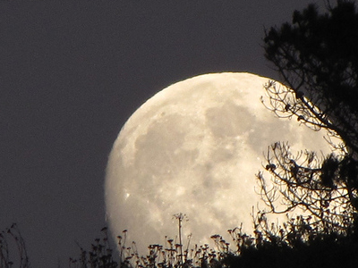 Πετάξτε στη Σελήνη με 1,5 δισ. δολάρια