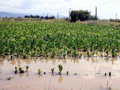 Πλημμύρισαν καλλιεργήσιμες εκτάσεις στις Σέρρες
