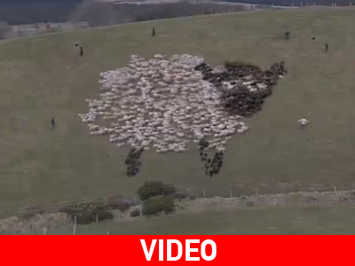 Βοσκός… καλλιτέχνης