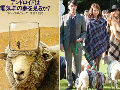 Το πρώτο ξενοδοχείο για… πρόβατα!