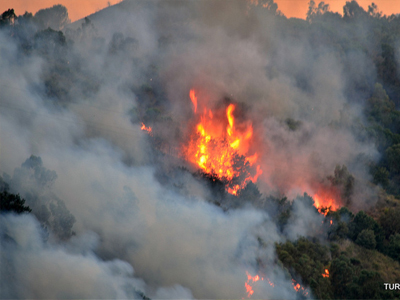 Δεκάδες πυρκαγιές μαίνονται στη Σικελία