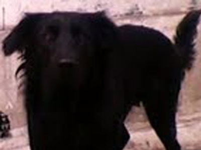 Χάθηκε η Σύρμα