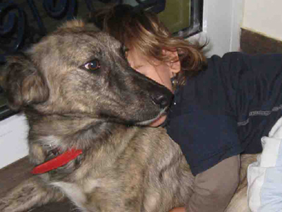 Χάθηκε σκυλίτσα στην Αγία Παρασκευή