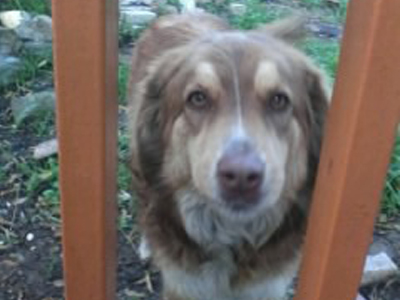 Βρέθηκε στην Κάντζα