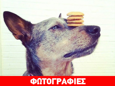 Το ταλέντο δεν κρύβεται…