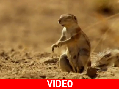 Όταν παραμονεύει ο κίνδυνος