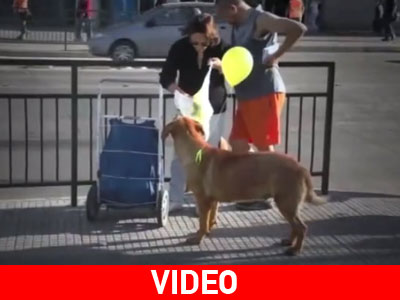 Είμαι εδώ, μη με εγκαταλείπεις