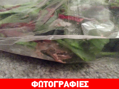 Συμβαίνει και στις καλύτερες οικογένειες