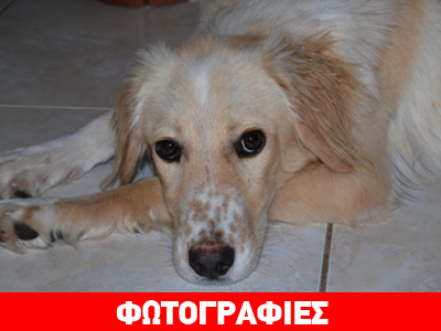 Ένα σπίτι για τη Sol