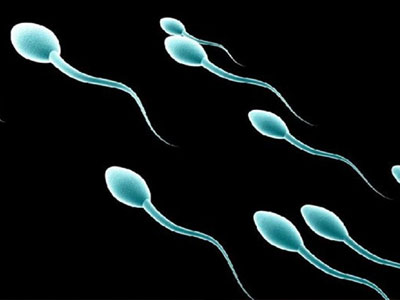 Σπέρμα από βλαστοκύτταρα δέρματος