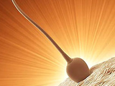 SEXUALITY: Τα «χημικά» ευθύνονται για την αύξηση του καρκίνου και τη μείωση της ποιότητας του σπέρματος