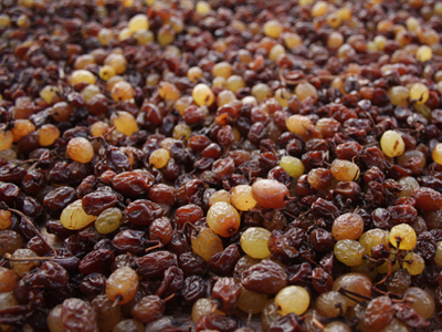 Κατάσχεση τόνων σταφίδας και ρυζιού με έντομα