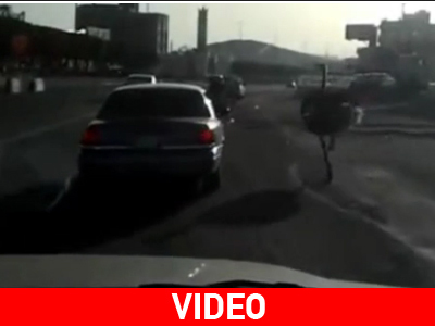 Στρουθοκάμηλος προκάλεσε πανικό στη Σαουδική Αραβία