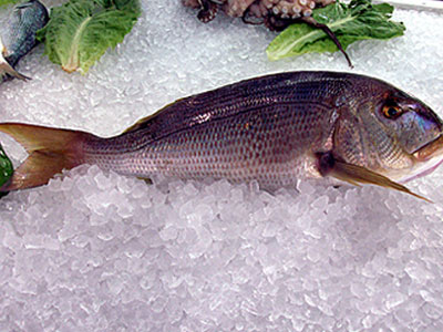 Η συναγρίδα του ΠΑ.ΣΟ.Κ.