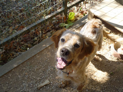 Χαρίζεται ο Τέρυ!