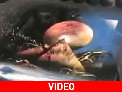 Τέχνη… φαστ φουντ!