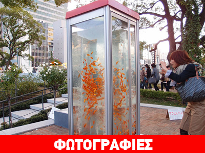 Ιαπωνία: Τηλεφωνικοί θάλαμοι έγιναν γυάλες για χρυσόψαρα