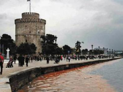 Το φυτοπλαγκτόν οφείλεται για τη δυσοσμία στον Θερμαϊκό