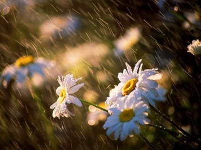 Ο καιρός σήμερα