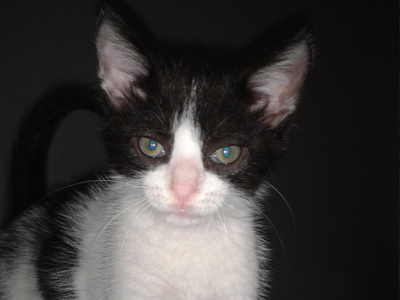 Χαρίζεται ο Τοτός