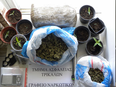 Καλλιεργούσε και διακινούσε κάνναβη