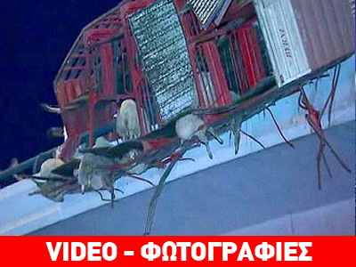 Αυστραλία: Δεκάδες νεκρά πρόβατα σε… τροχαίο Αυστραλία: Δεκάδες νεκρά πρόβατα σε… τροχαίο