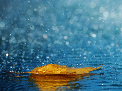 Tα πρωτοβρόχια στη Νέα Δημοκρατία