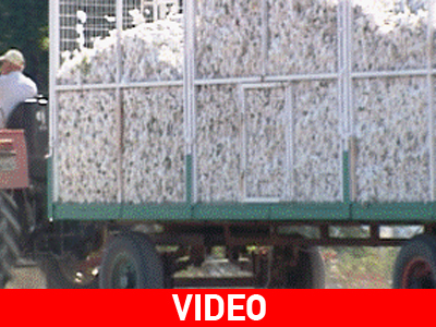 Η ΕΑΣ Λαμίας αντιδρά στις δηλώσεις των βαμβακοπαραγωγών