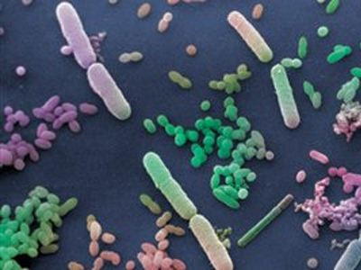 SEXUALITY: Ο αριθμός των βακτηρίων και οι λοιμώξεις του ουροποιητικού