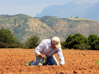 Εύβοια: Πέθανε από τσίμπημα φιδιού